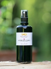 09 Hüter des Tores  Naturwesen-Essenz  --  100ml Spray