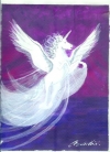04 Pegasus Naturwesen-Essenz  --  100ml Spray