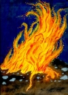 11 Feuersalamander  Naturwesen-Essenz  --  100ml Spray